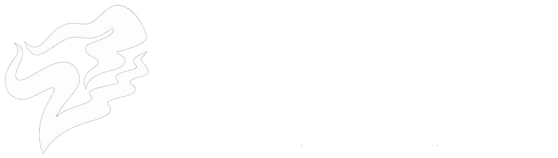 辽宁足球网