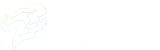辽宁足球网